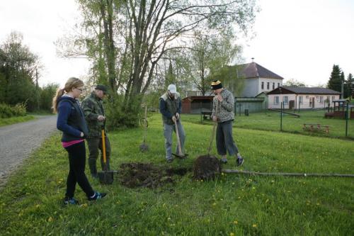 Zasaď strom a staň se jeho patronem 12.5.2013